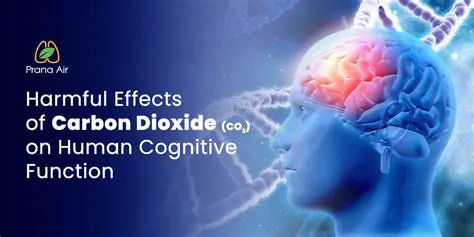 The Effects of CO2 on Human Health