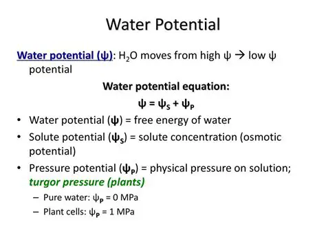 The Equation and the Potential Solution