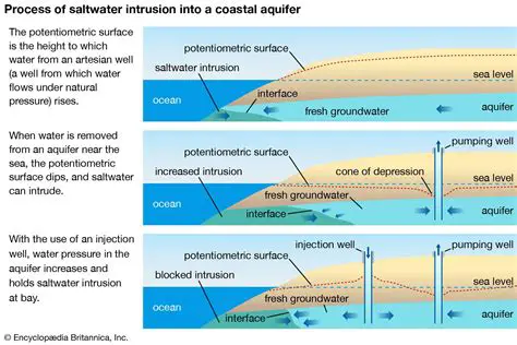 The Importance of Aquifers