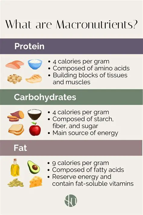The Importance of Macro Nutrients