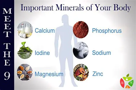 The Importance of Minerals in Our Bodies