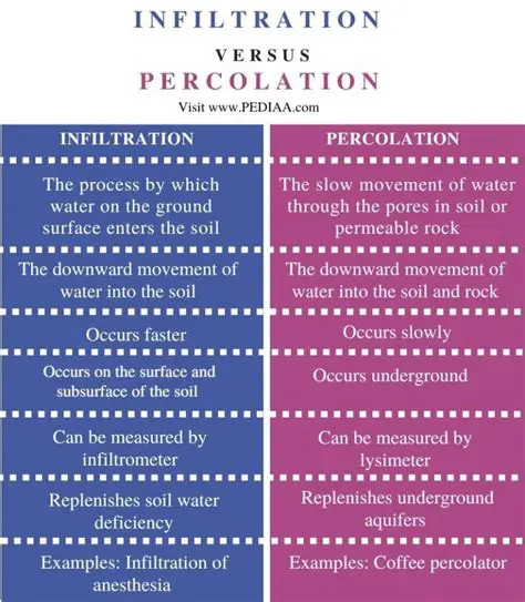 The Importance of Percolation