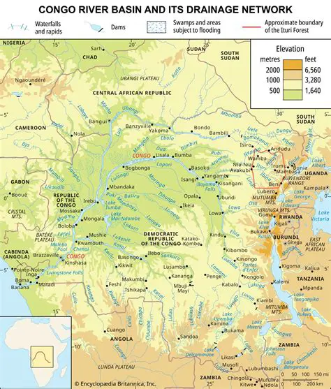 The Importance of the Congo River