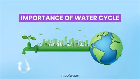 The Importance of Water in Digestion