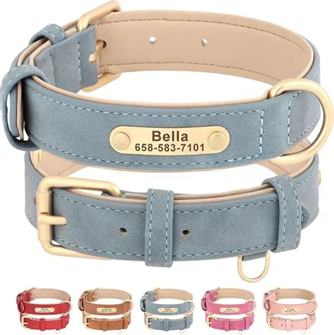The Initial Number of Collars