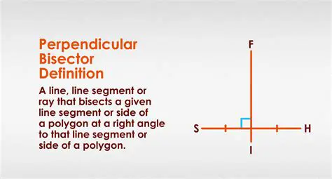 The Perpendicular Bisector