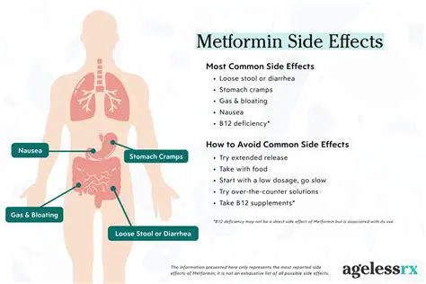 The Role of Metformin in Controlling ADMA in Patients with Obesity