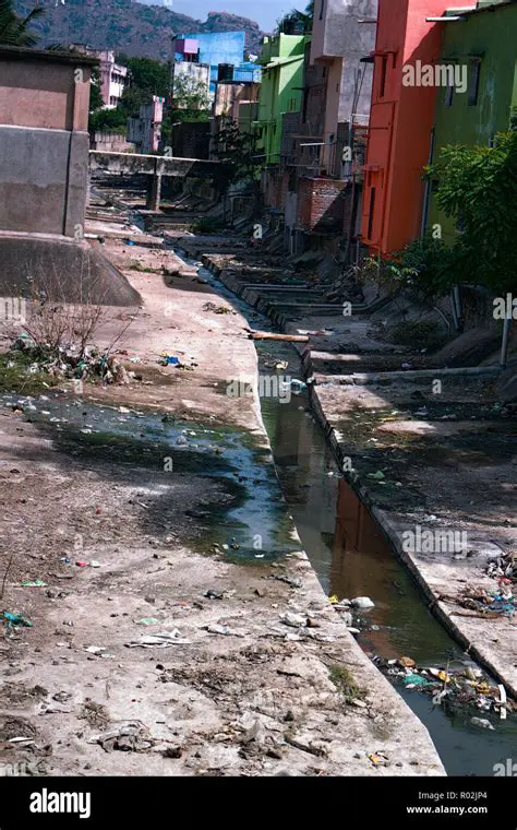 The Unsanitary Condition of Our Streets