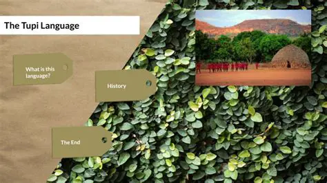 Tupi Language Characteristics