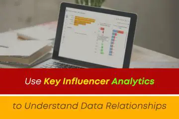Understand data relationships