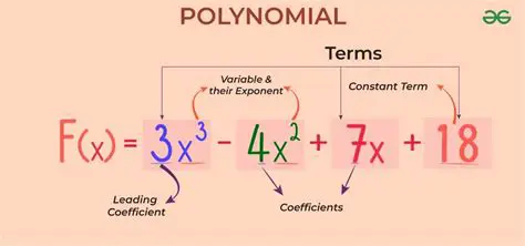Understanding Polynomial Fit