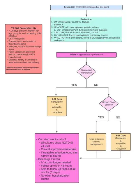 Understanding the AAP Guidelines