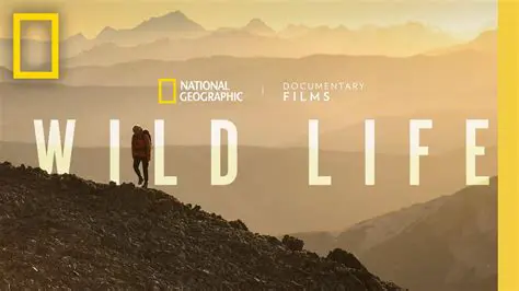 Understanding the Common Ground Between National Geographic Videos and Humanitarian Stories