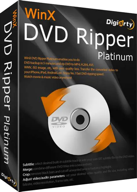 Understanding the DVD Ripper Software