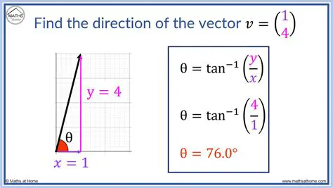 Understanding Vectors and Direction