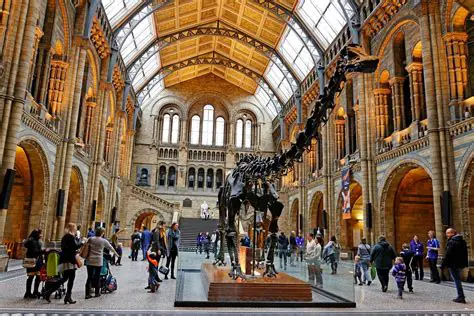 Visit museums and historical sites