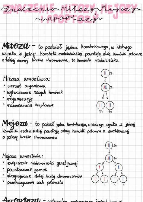Wprowadzenie do Mitozy i Mejozy